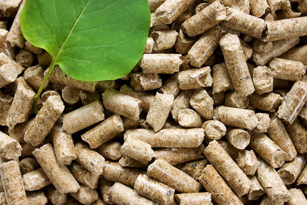 Wood pellets close up with a leaf on the top